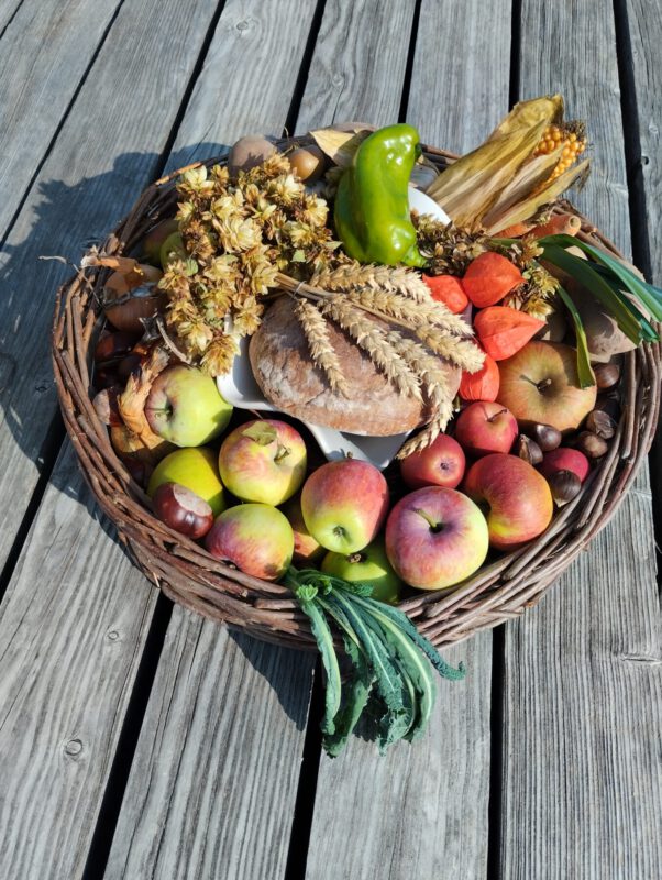 Erntekorb mit Obst, Gemüse und Brot 